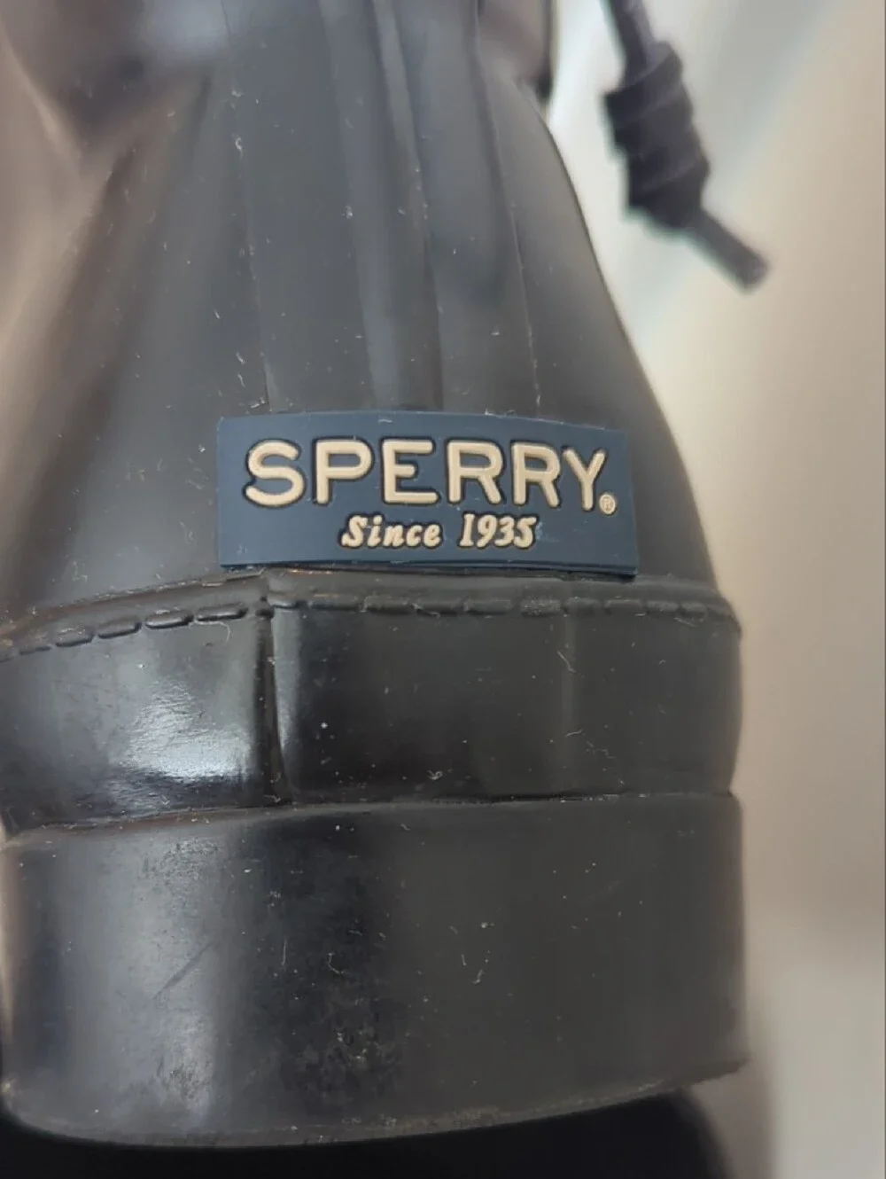 Sperry sturdy short